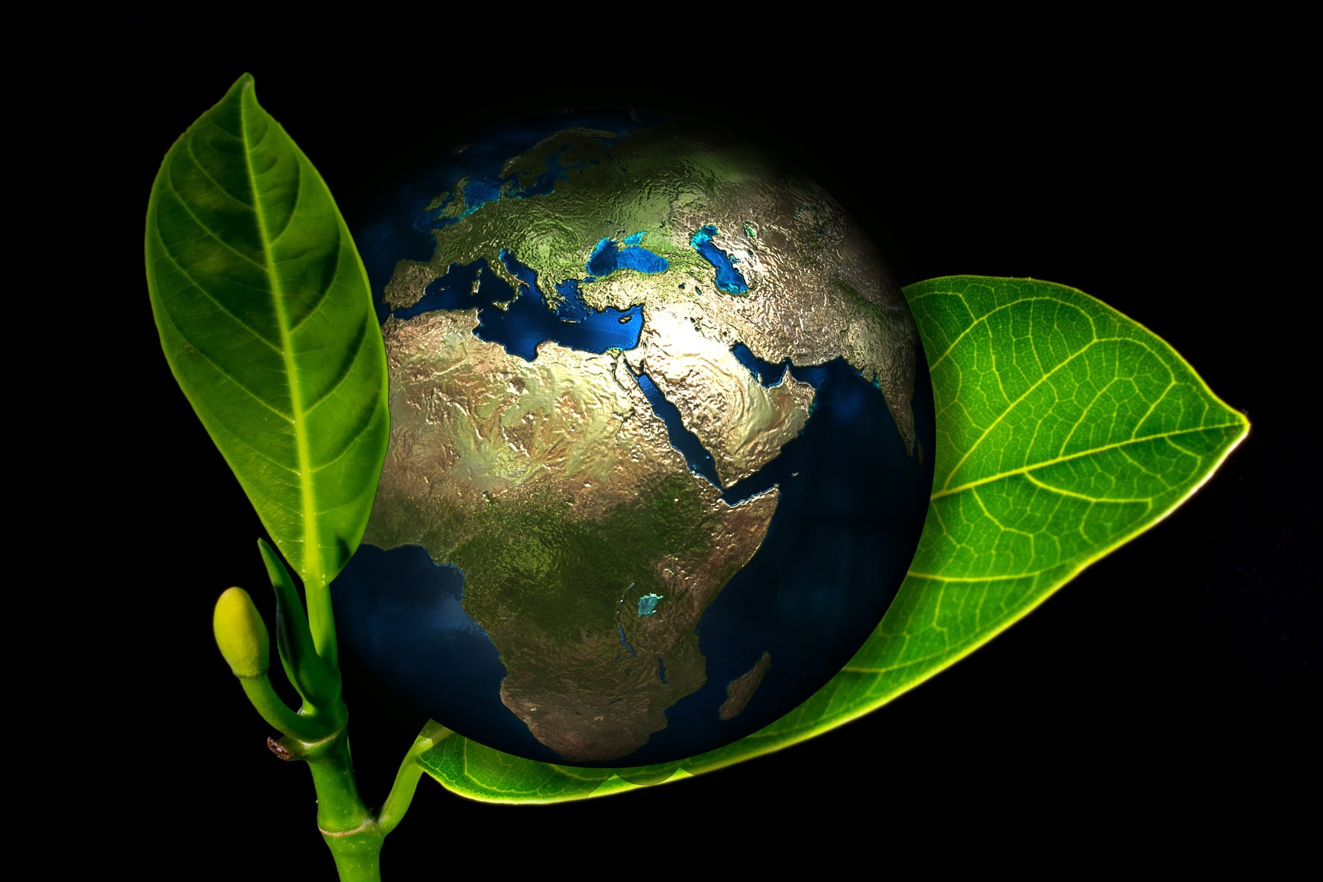 ESG-sijoittaminen ottaa huomioon ympäristön